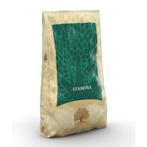 Essential Stamina 10 kg saco