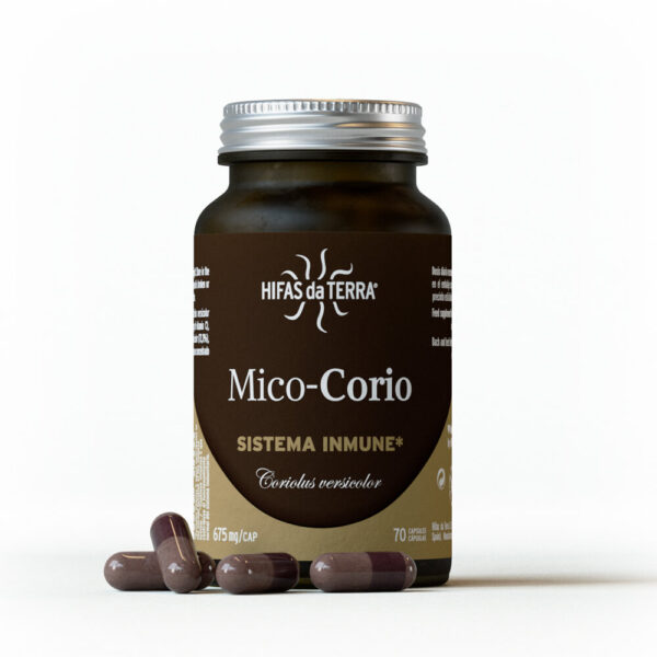 Hifas da Terra Mico Corio