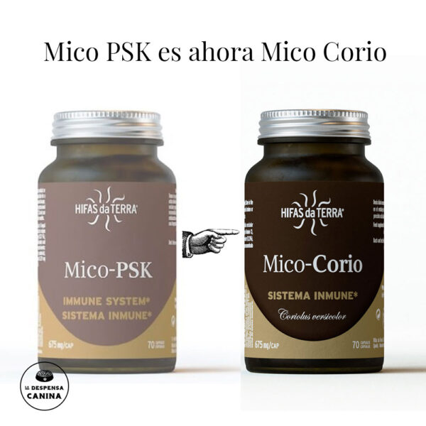 Hifas da Terra Mico PSK ahora es Mico Corio