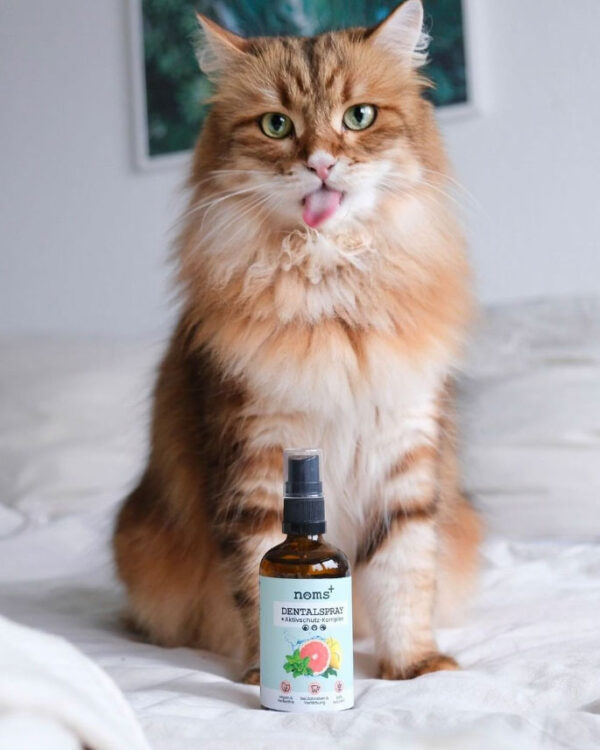 Noms Spray Dental también es para gatos