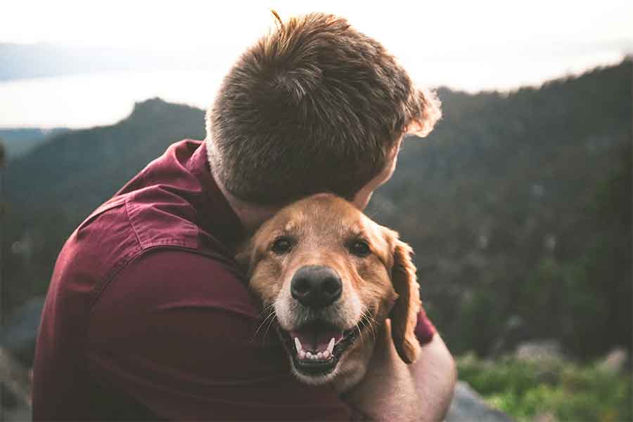 Compromiso con el bienestar de los animales